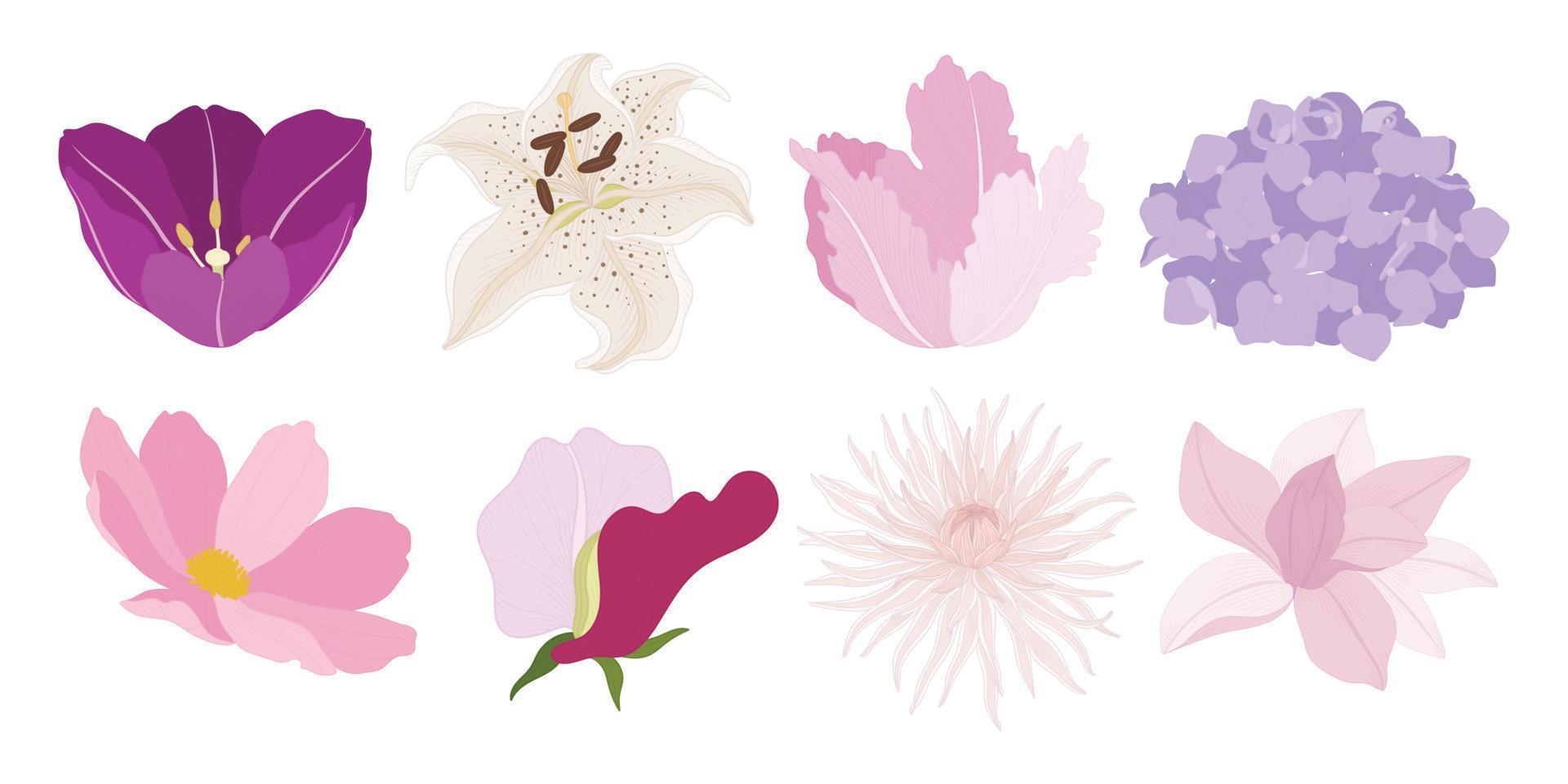 conjunto de ilustração de flores desabrochando coloridas. vetor