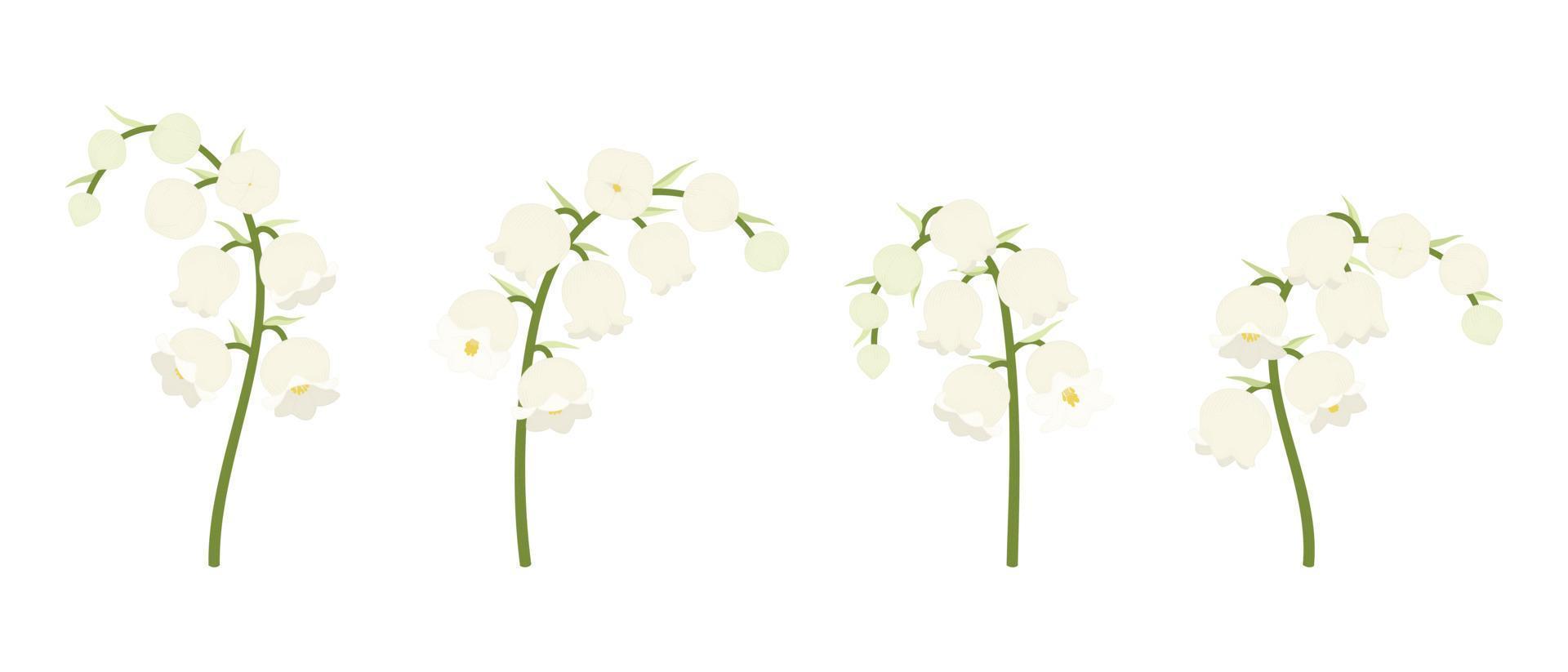 conjunto de ilustração de flores desabrochando de lírio branco do vale. vetor