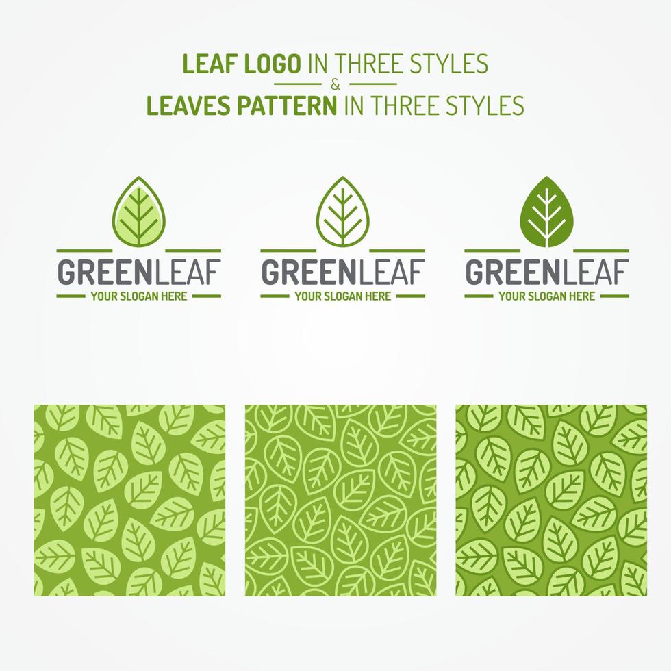 conjunto de folha verde composto por logotipo e folhas padrão três estilos vetor