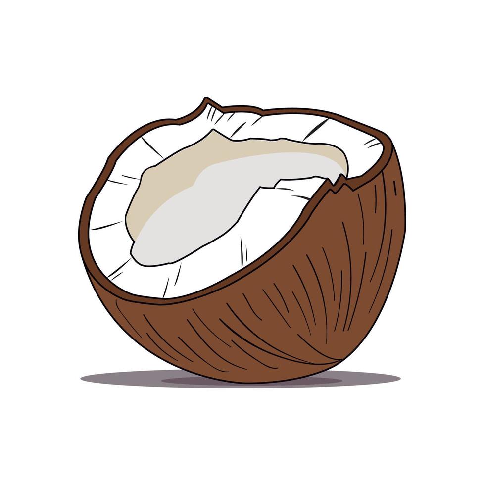 ilustração de meio coco em um fundo branco vetor