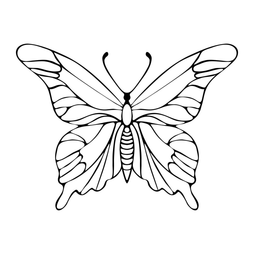 doodle de desenho de mão de contorno de borboleta vetor