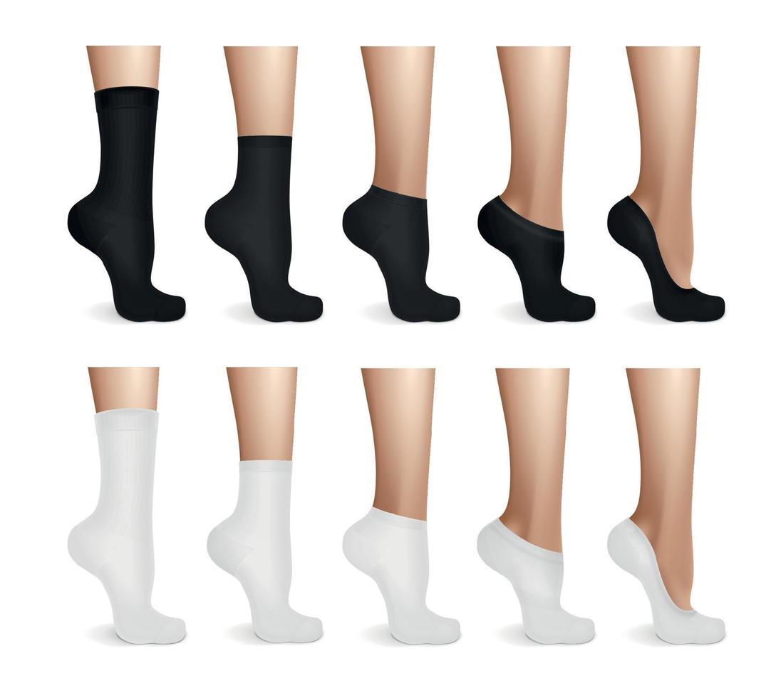 pernas femininas em meias brancas e pretas vetor