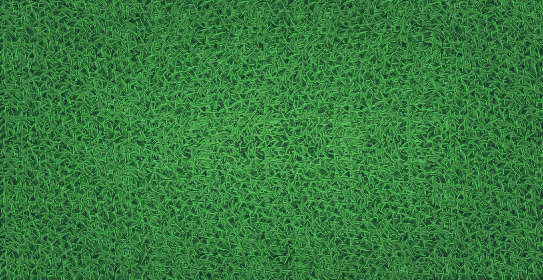relva de futebol de grama realista de fundo verde panorâmico - vetor