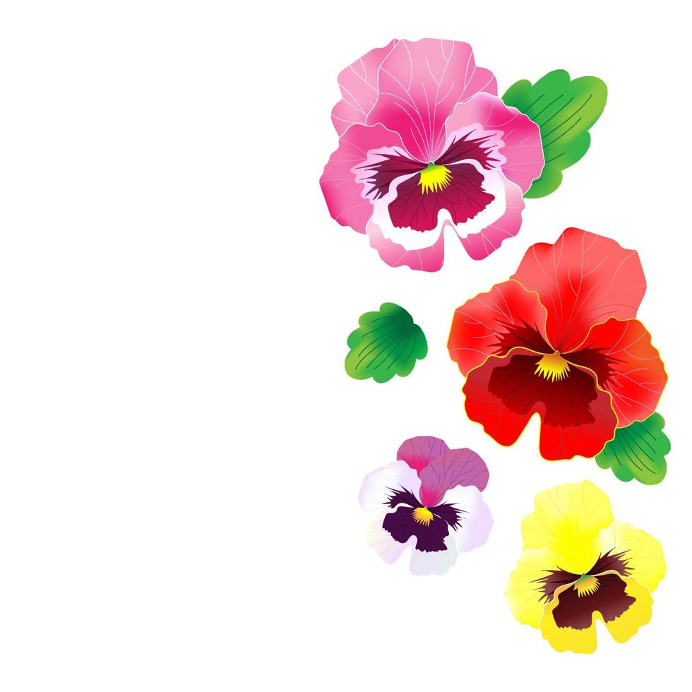 flor colorida de amor-perfeito vector
