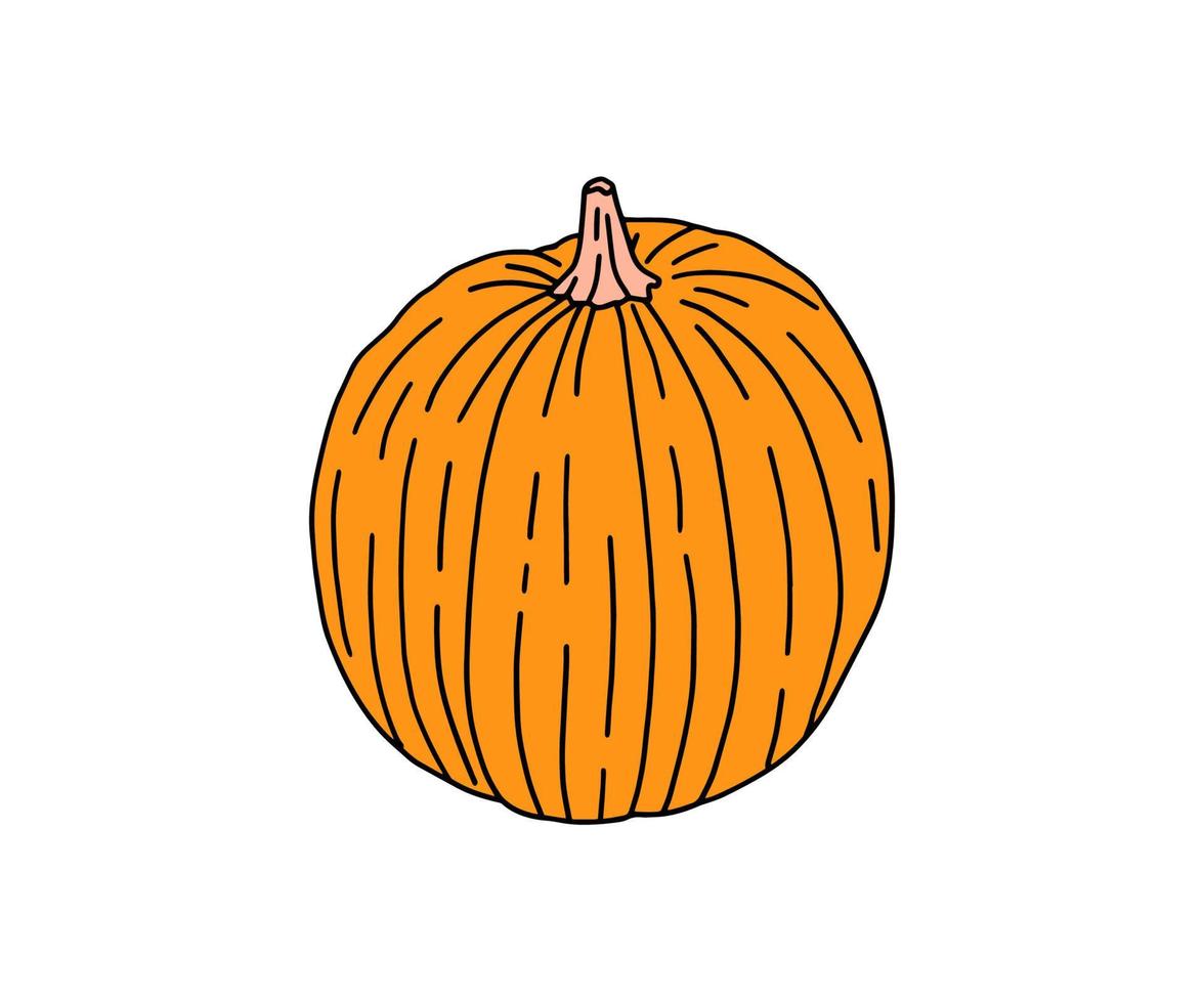 uma ilustração brilhante de abóboras em um estilo simples. legumes fofos são perfeitos para decorar férias de outono, halloween, comida saudável, material de escritório vetor