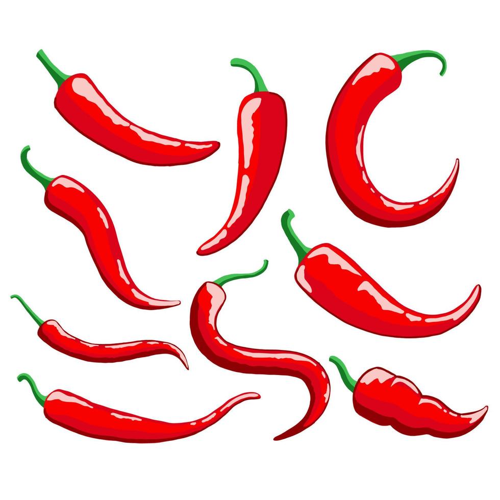 conjunto de ilustração vetorial de pimenta malagueta vermelha. bom para modelo de design de comida ou restaurante. estilo de cor plana simples vetor