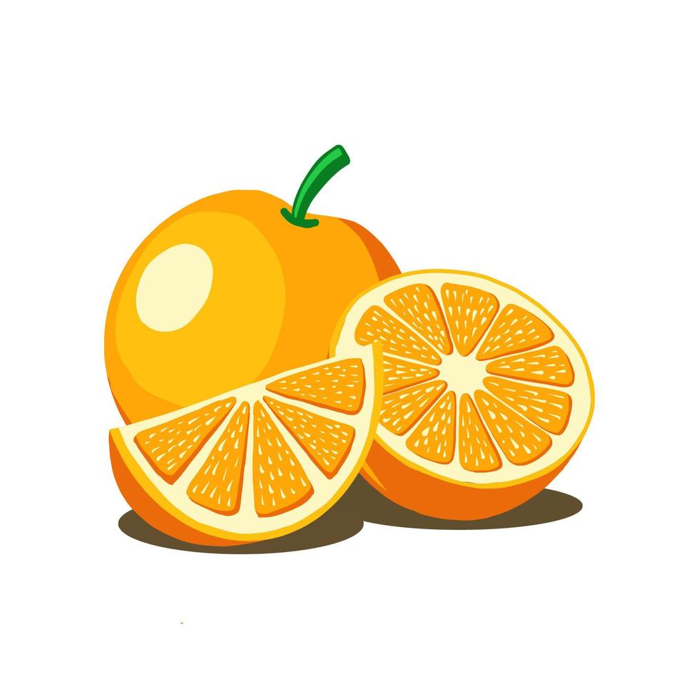 ilustração vetorial de fruta laranja. bom para produto de frutas frescas ou modelo de design. estilo desenhado à mão de cor plana vetor