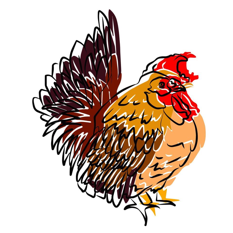 bela ilustração de frango, usada para uso geral vetor