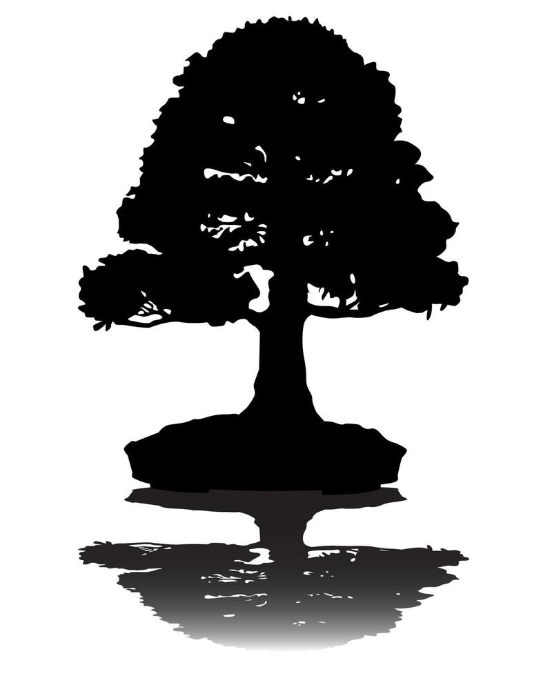 silhueta de árvore bonsai japonês no fundo branco vetor