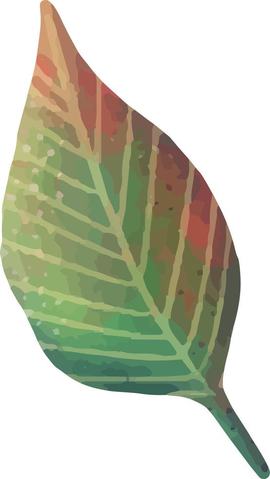folha de palmeira tropical verde. planta tropical. ilustração em aquarela de pintados à mão isolada no branco. vetor
