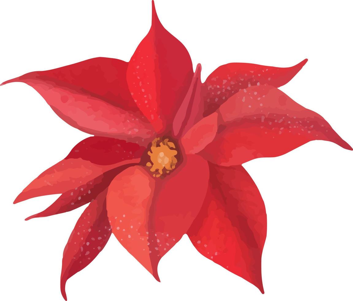 planta de natal em aquarela. mão desenhada elementos botânicos poinsettia vermelho isolados no fundo branco. vetor