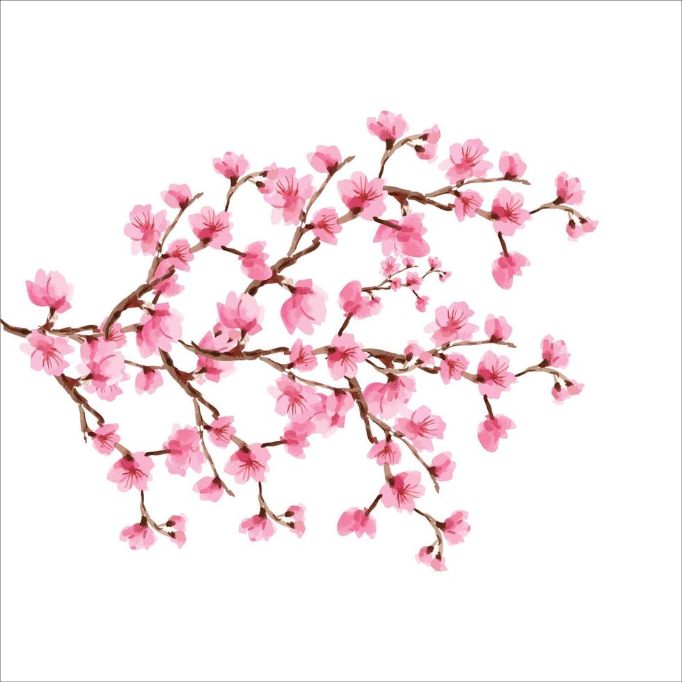 ramo árvore ilustração vetorial verão clipart outono clipart natureza floresta, fundo flor de cerejeira flor da primavera japão, ramo de sakura florescendo com flores, flor de cerejeira vetor