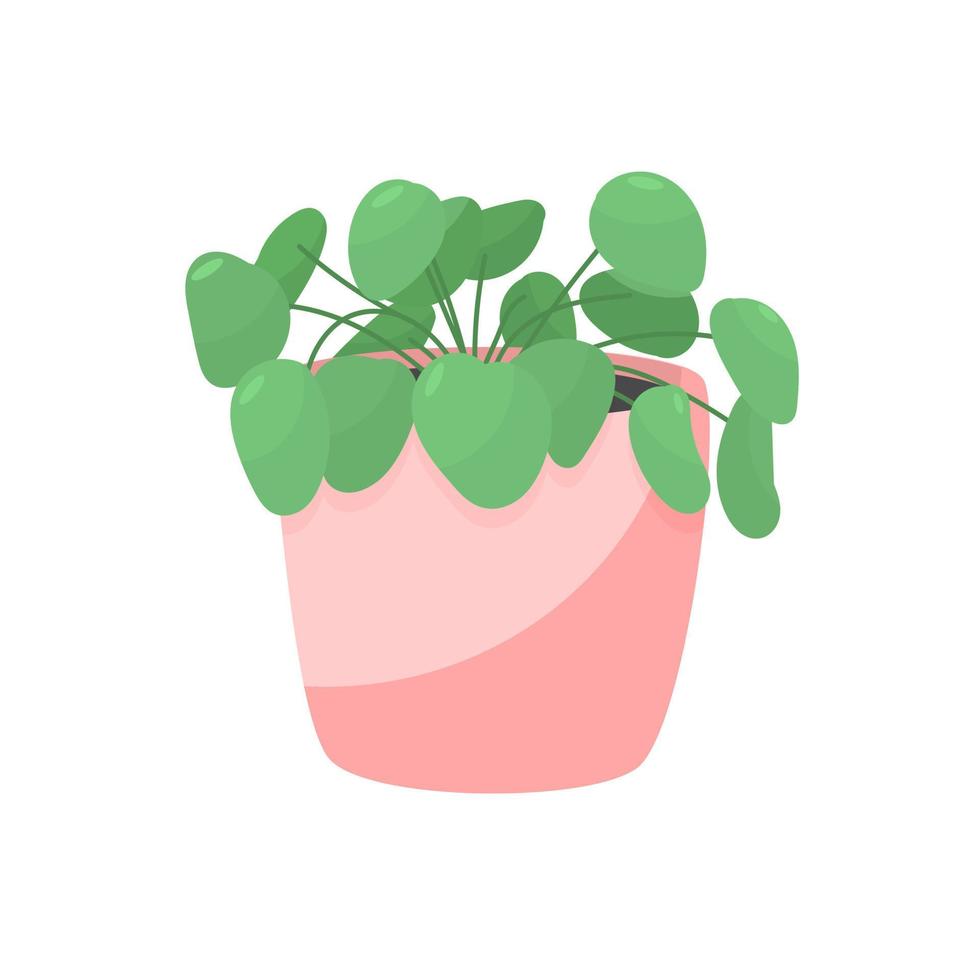 planta de casa verde em uma panela. vaso de cor rosa com planta. ilustração vetorial colorida para design. ilustração vetorial isolado no fundo branco. vetor