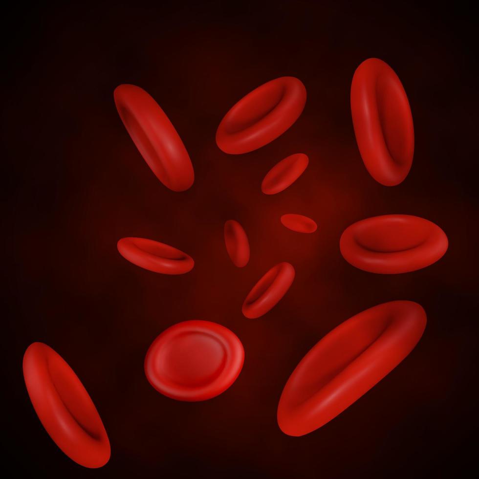 vetor de fluxo de células sanguíneas