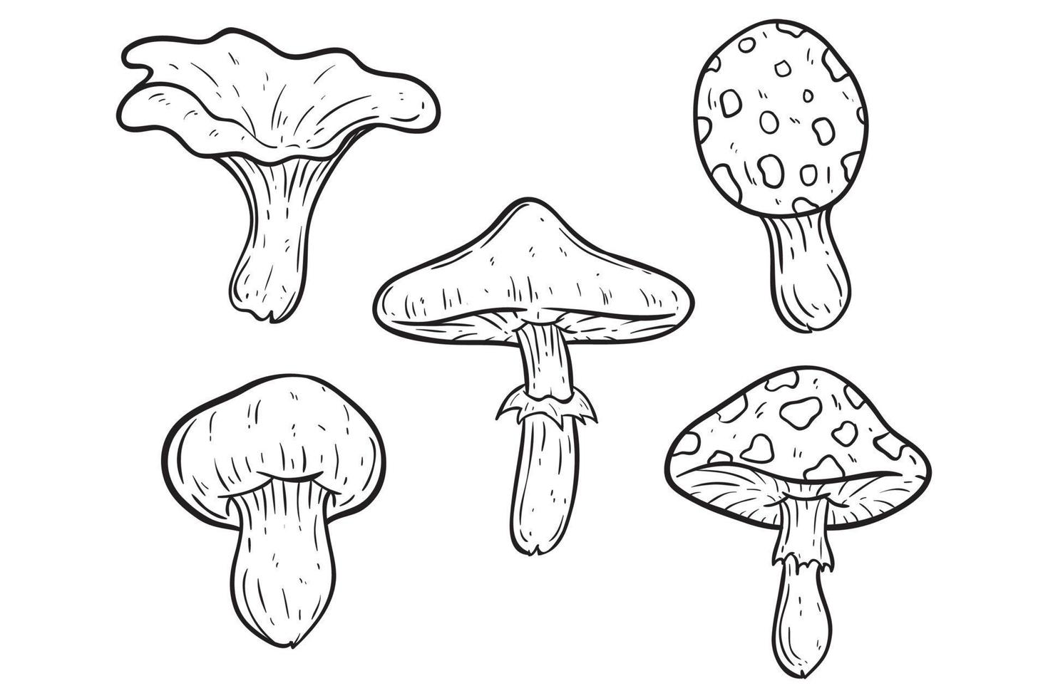 coleção de cogumelos desenhados à mão em fundo branco vetor