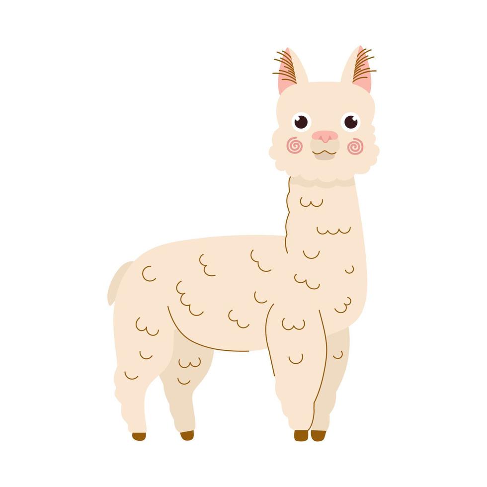 ilustração dos desenhos animados de lhama. ilustração vetorial de alpaca isolada no fundo branco para crianças, crianças designe em estilo moderno plano vetor