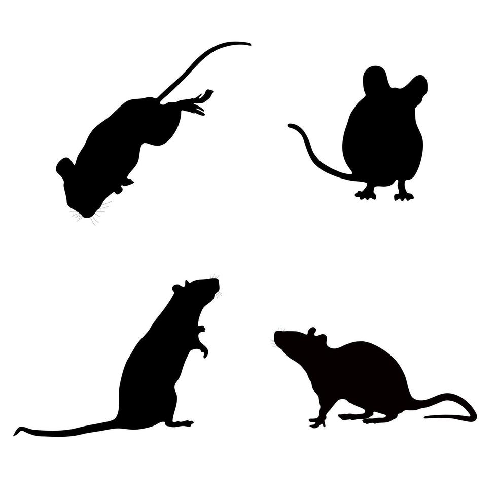 silhueta preta de um rato em um fundo branco. imagem vetorial. vetor