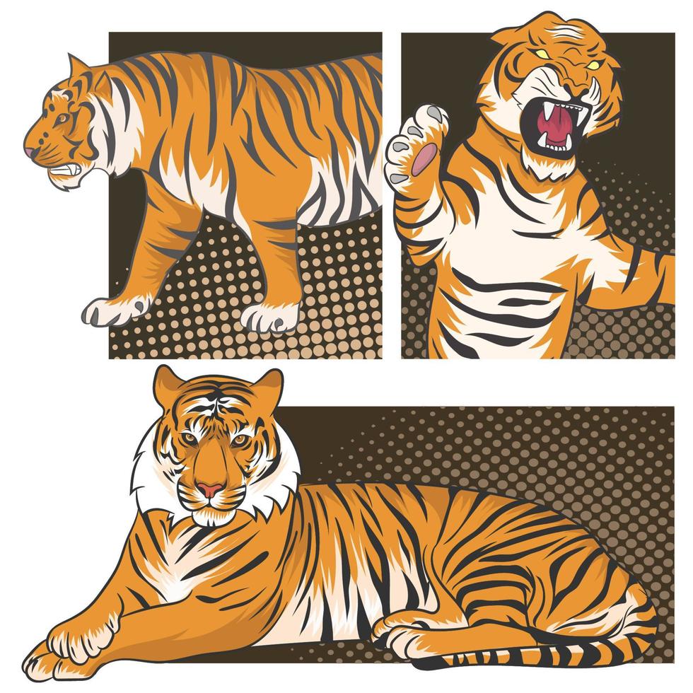 ilustração vetorial de tigre vetor