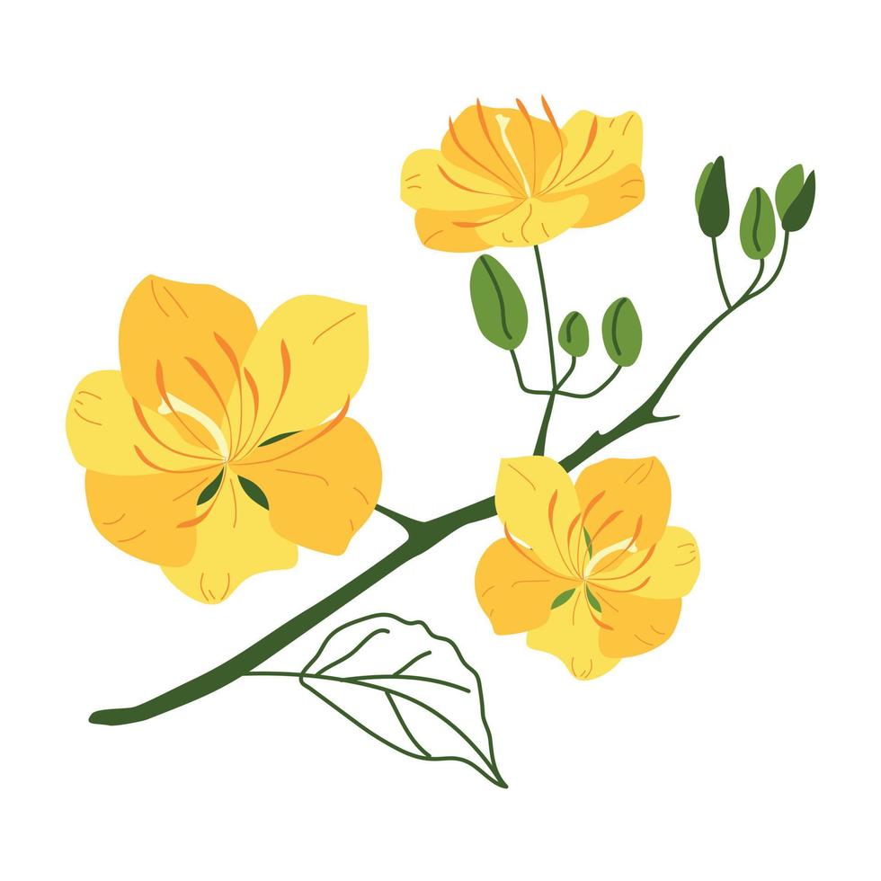 um galho com flores amarelas de damasco vetor
