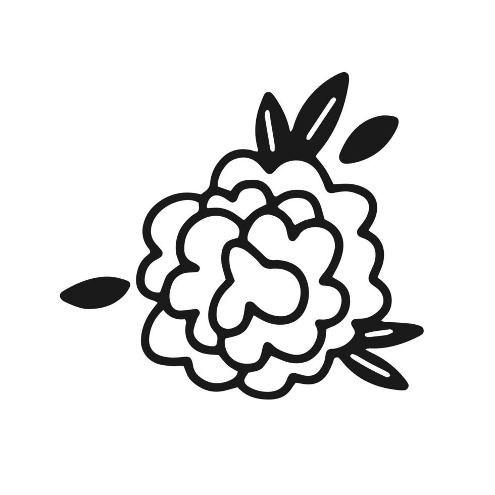 flor de peônia com folhas em estilo simples doodle. ilustração em vetor flor isolada.