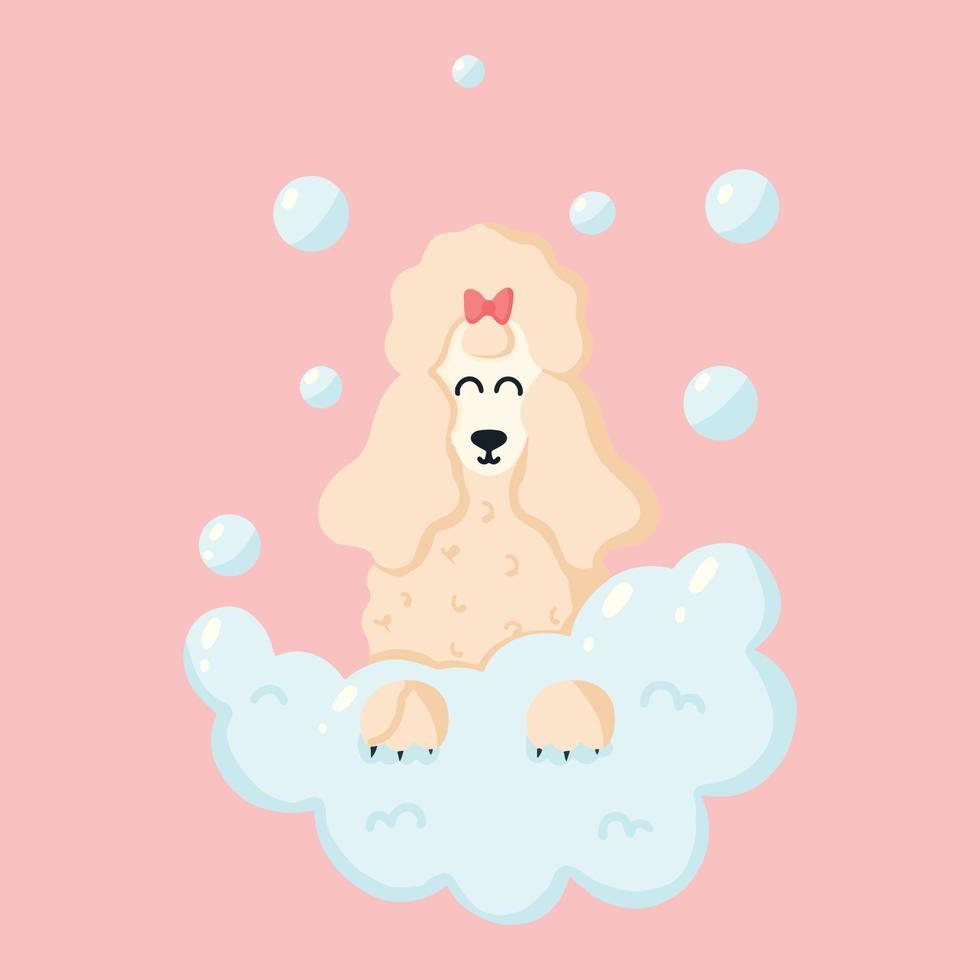 cachorro fofo na espuma. poodle com bolhas. clínica de cuidado de animais domésticos. ilustração vetorial em estilo cartoon. vetor