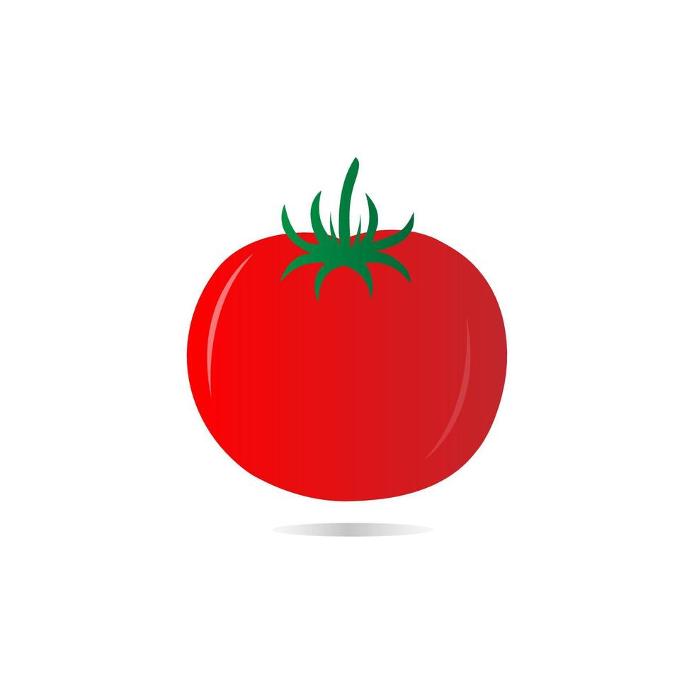 design de ilustração de frutas de tomate fofo vetor