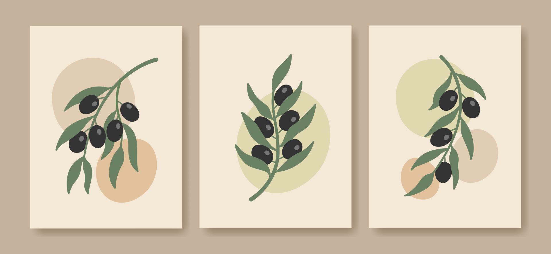 pôsteres abstratos de ramo de oliveira minimalista boho. arte de parede botânica em tons pastel. vetor