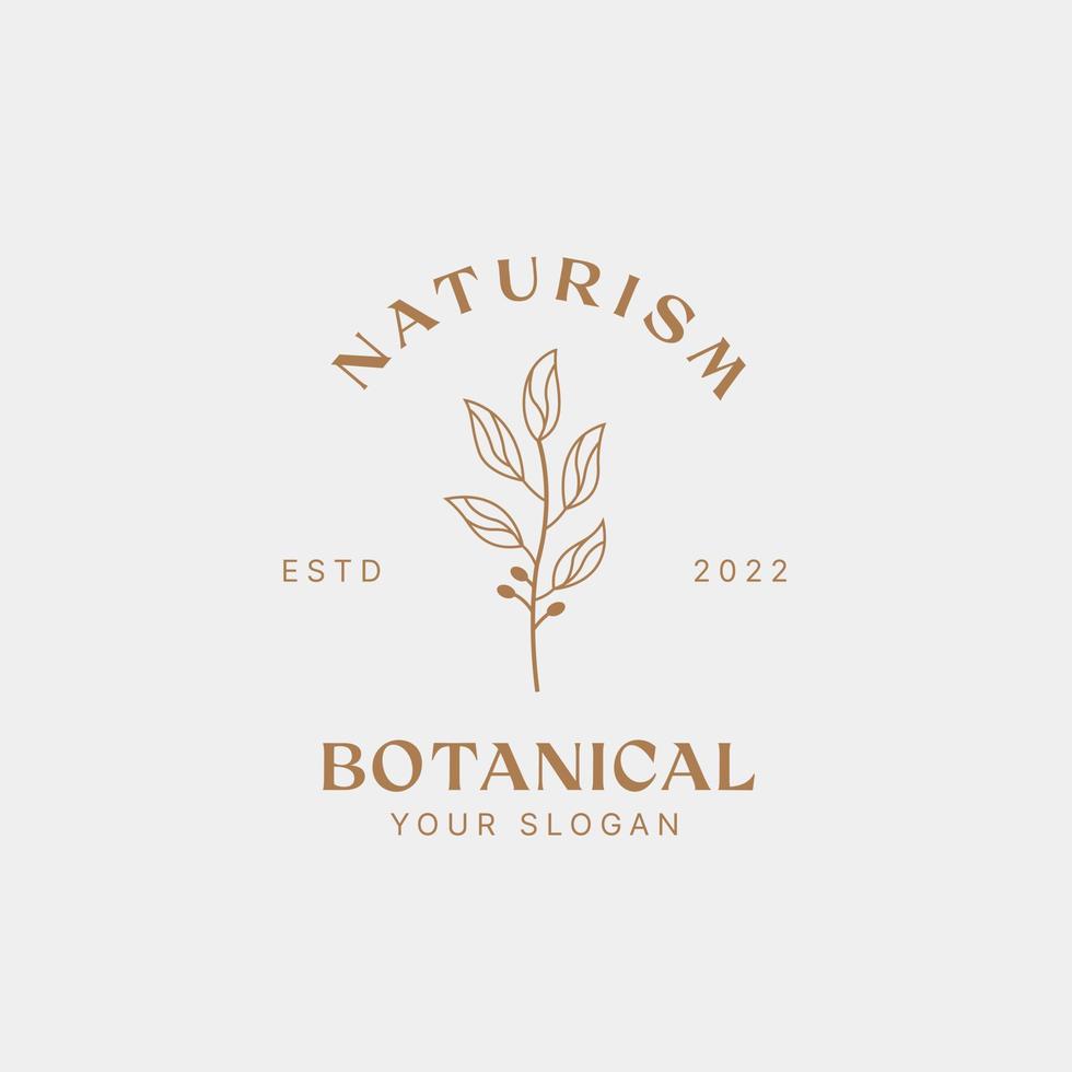 modelo de design de logotipo botânico, azeite, logotipo floral, logotipo feminino, vetor premium de logotipo de beleza