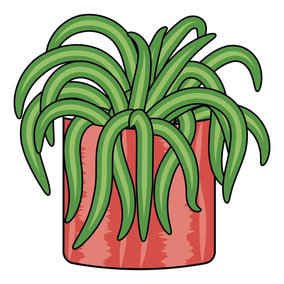 planta verde chlorophytum no pote rosa vetor