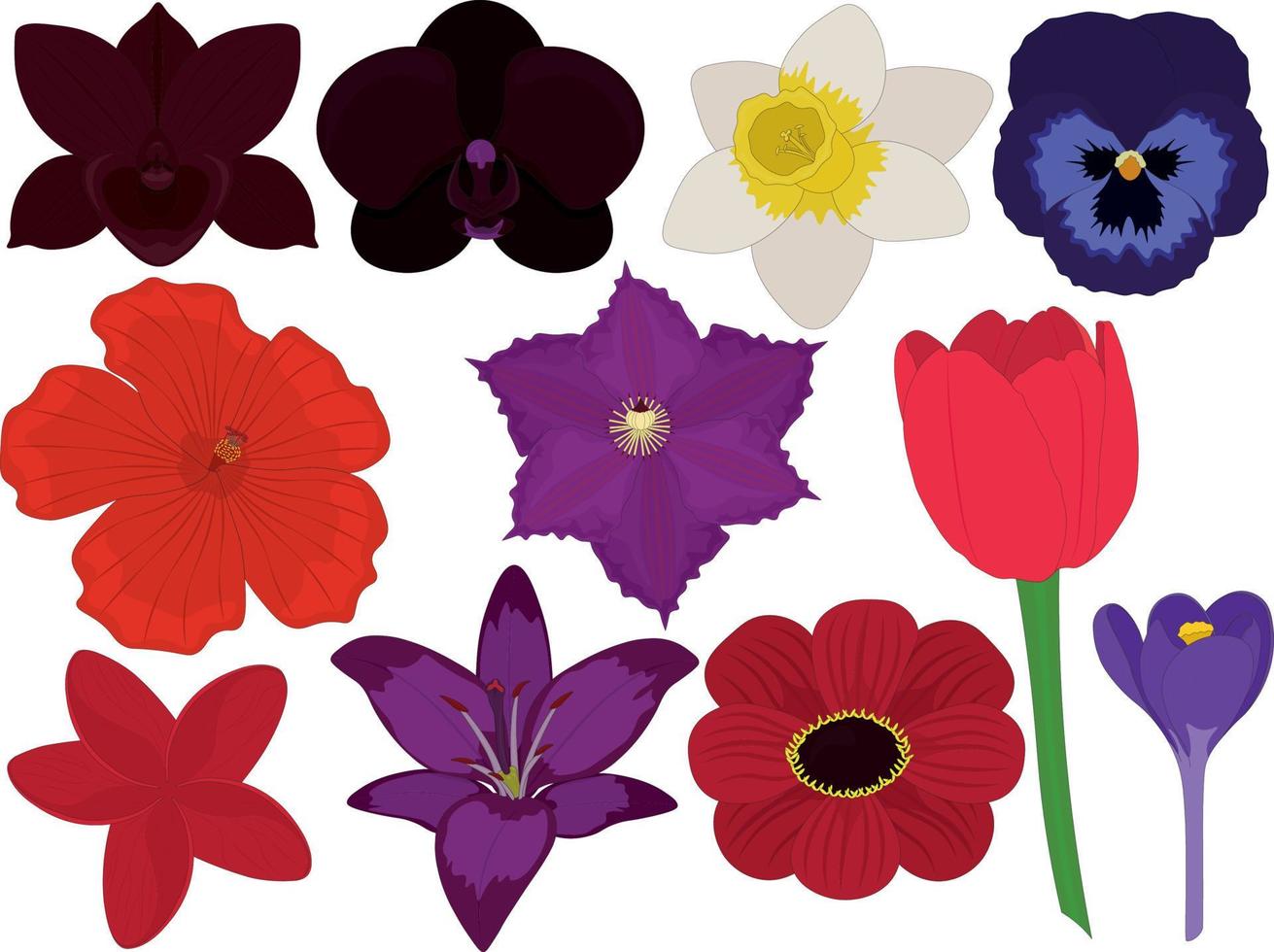 várias ilustrações vetoriais de coleção de flores lindas brilhantes vetor