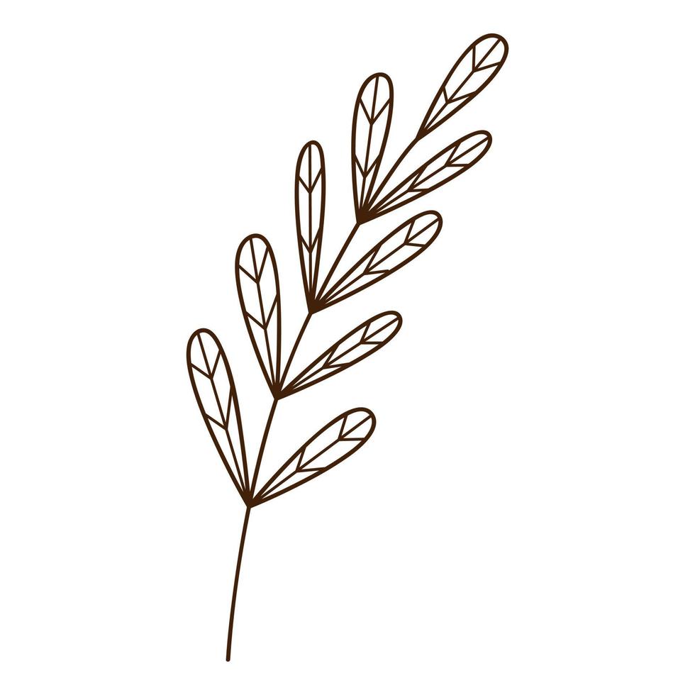galho abstrato com folhas. uma folha de grama. Tempo de outono. botânico, elemento de design de plantas com contorno. rabisco, desenhado à mão. projeto plano. ilustração em vetor preto branco. Isolado em um fundo branco
