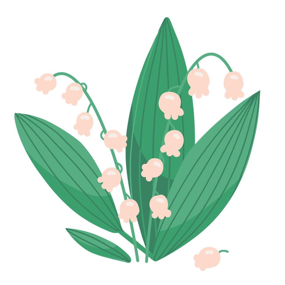 lírio do vale, flor de primavera com botões florescendo em forma de sino. Muguet de planta floral floresta isolada. branco pode convallaria com folhas. ilustração vetorial plana colorida. vetor