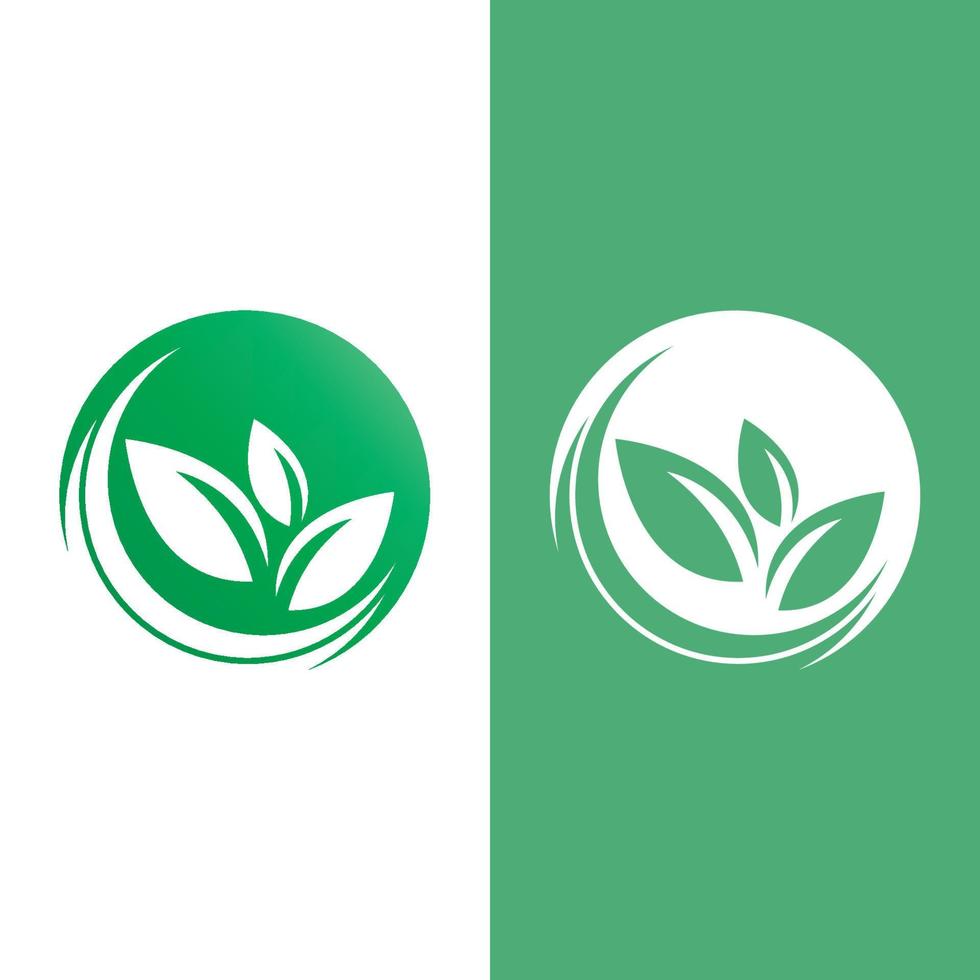 logotipos da ecologia de folhas verdes vetor