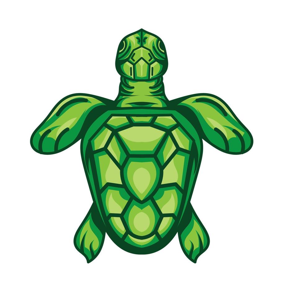 ilustração vetorial, animal tartaruga, verde vetor