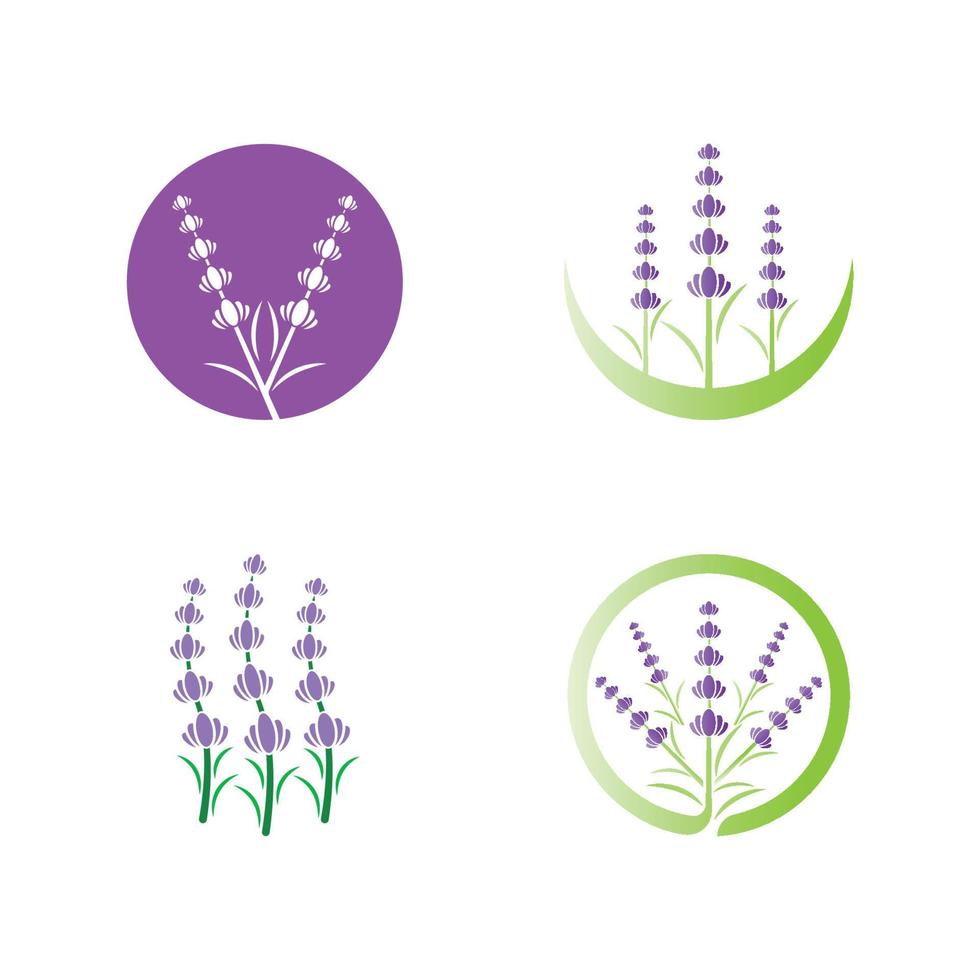 vetor de logotipo de flor de lavanda fresca