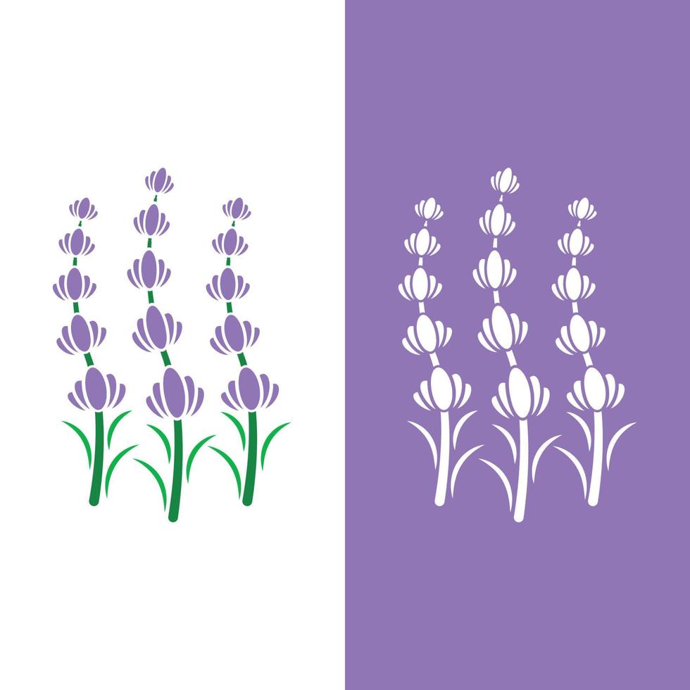 vetor de logotipo de flor de lavanda fresca