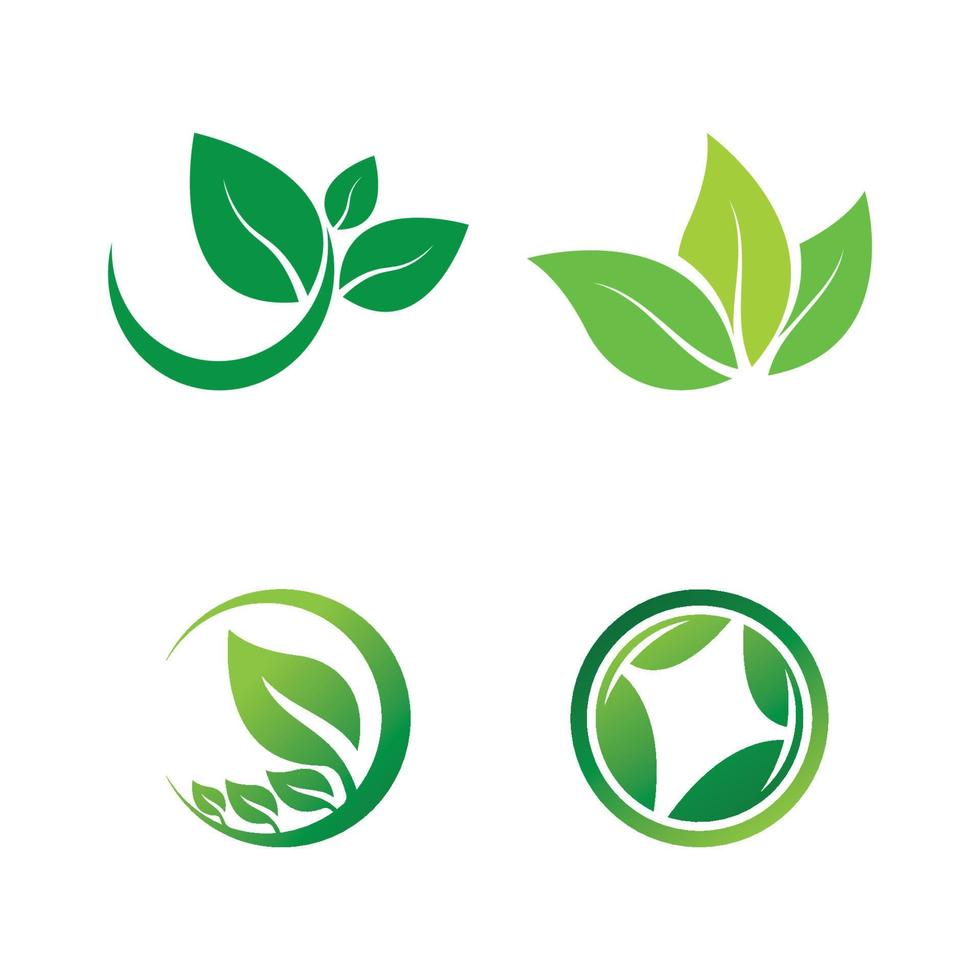 logotipos da ecologia de folhas verdes vetor