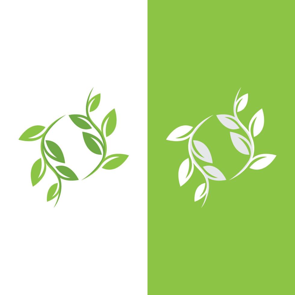 logotipos da ecologia de folhas verdes vetor