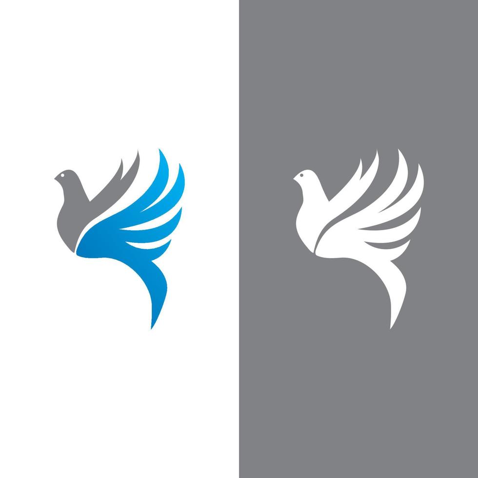 design de vetor de logotipo de pássaro pomba