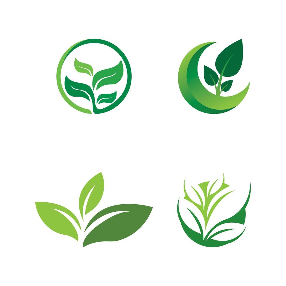 logotipos da ecologia de folhas verdes vetor