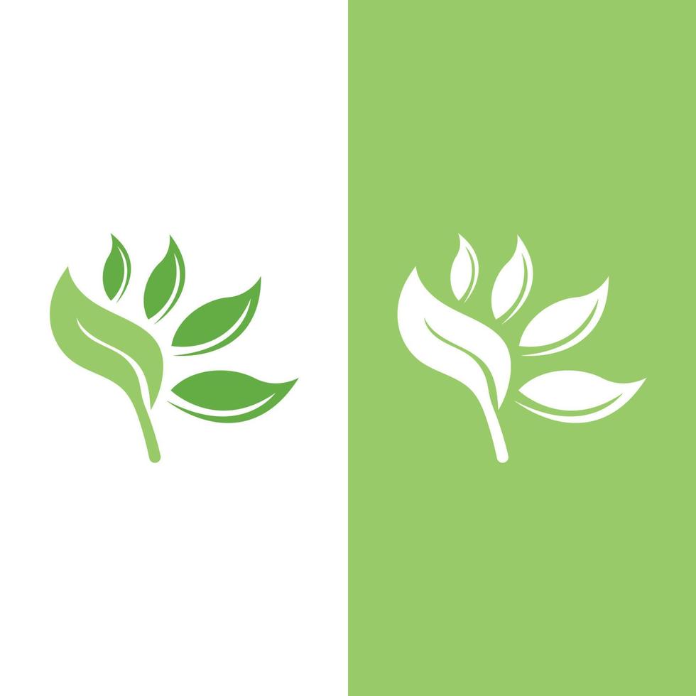 logotipos da ecologia de folhas verdes vetor