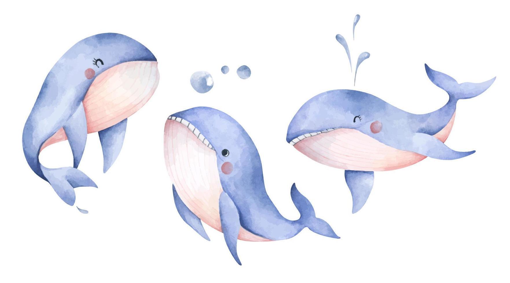 conjunto de baleia azul fofa. arte animal subaquática. ilustração em aquarela. vetor
