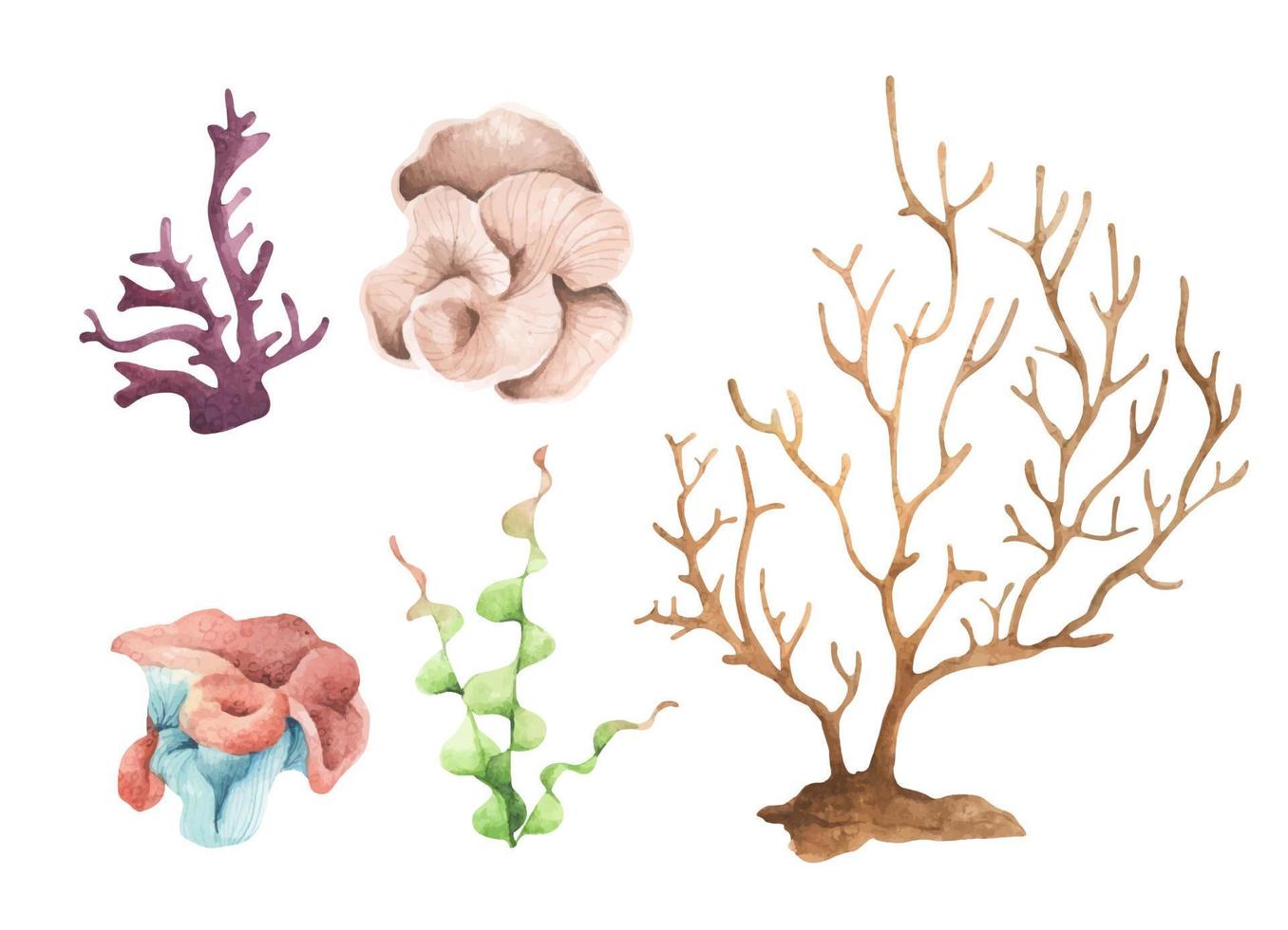 algas marinhas. plantas oceânicas subaquáticas, elementos de coral do mar. ilustração em aquarela. vetor