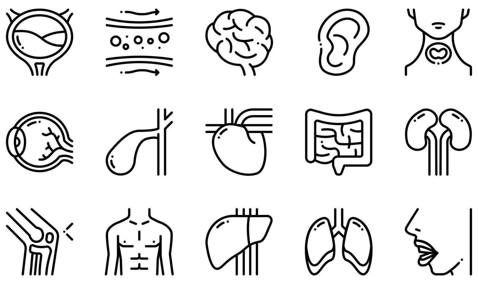 conjunto de ícones vetoriais relacionados ao corpo humano. contém ícones como bexiga, vaso sanguíneo, cérebro, ouvido, olho, coração e muito mais. vetor