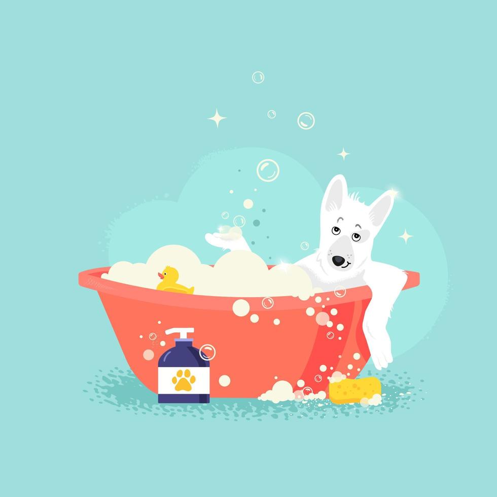 ilustração vetorial de estilo de desenho animado de um cachorro fofo tomando banho cheio de espuma de sabão. pato de borracha amarelo no banheiro. conceito de preparação. estilo cartoon plana. ilustração vetorial. vetor