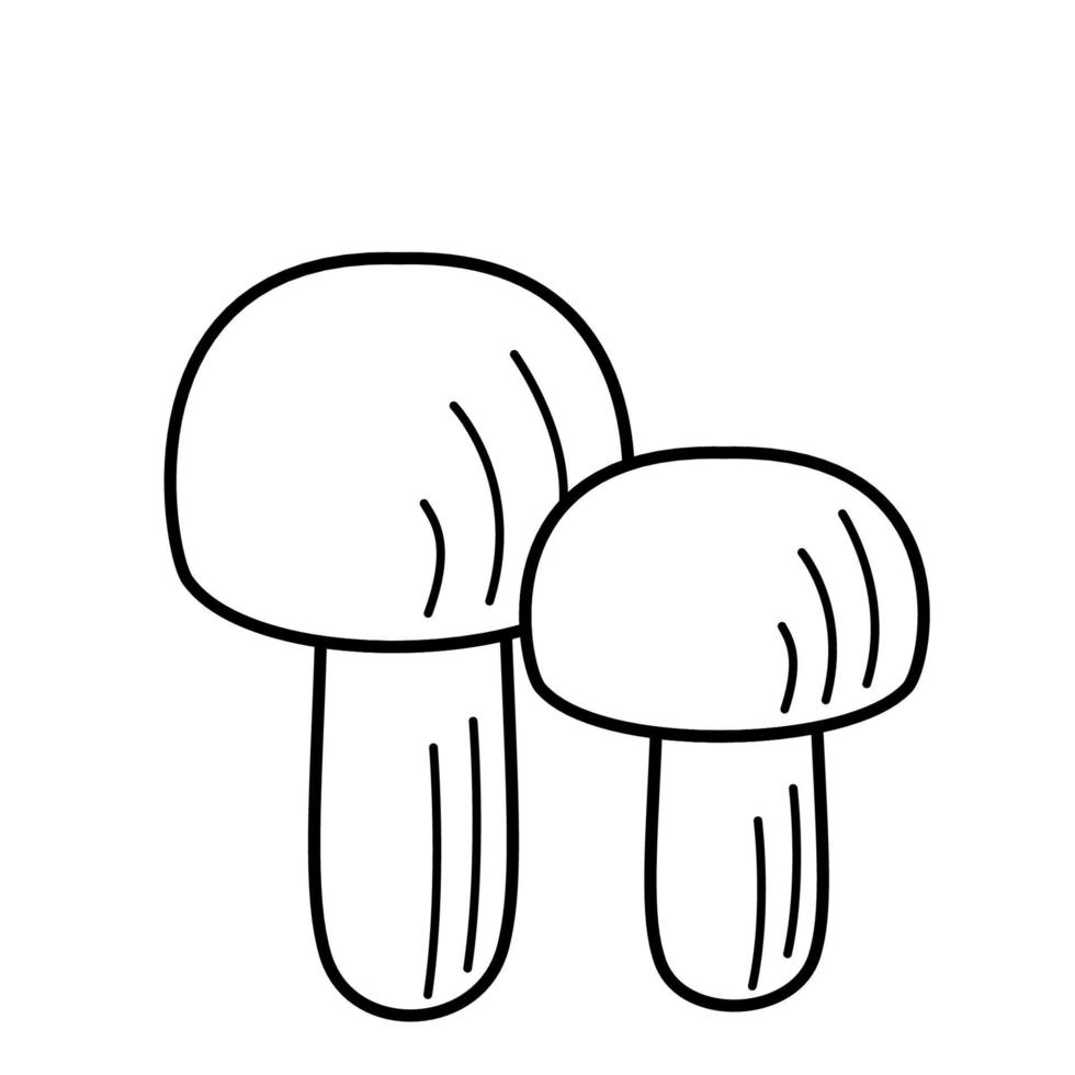 vetor de ícones de cogumelo estilo doodle. ilustração de champignon o contorno é isolado em branco