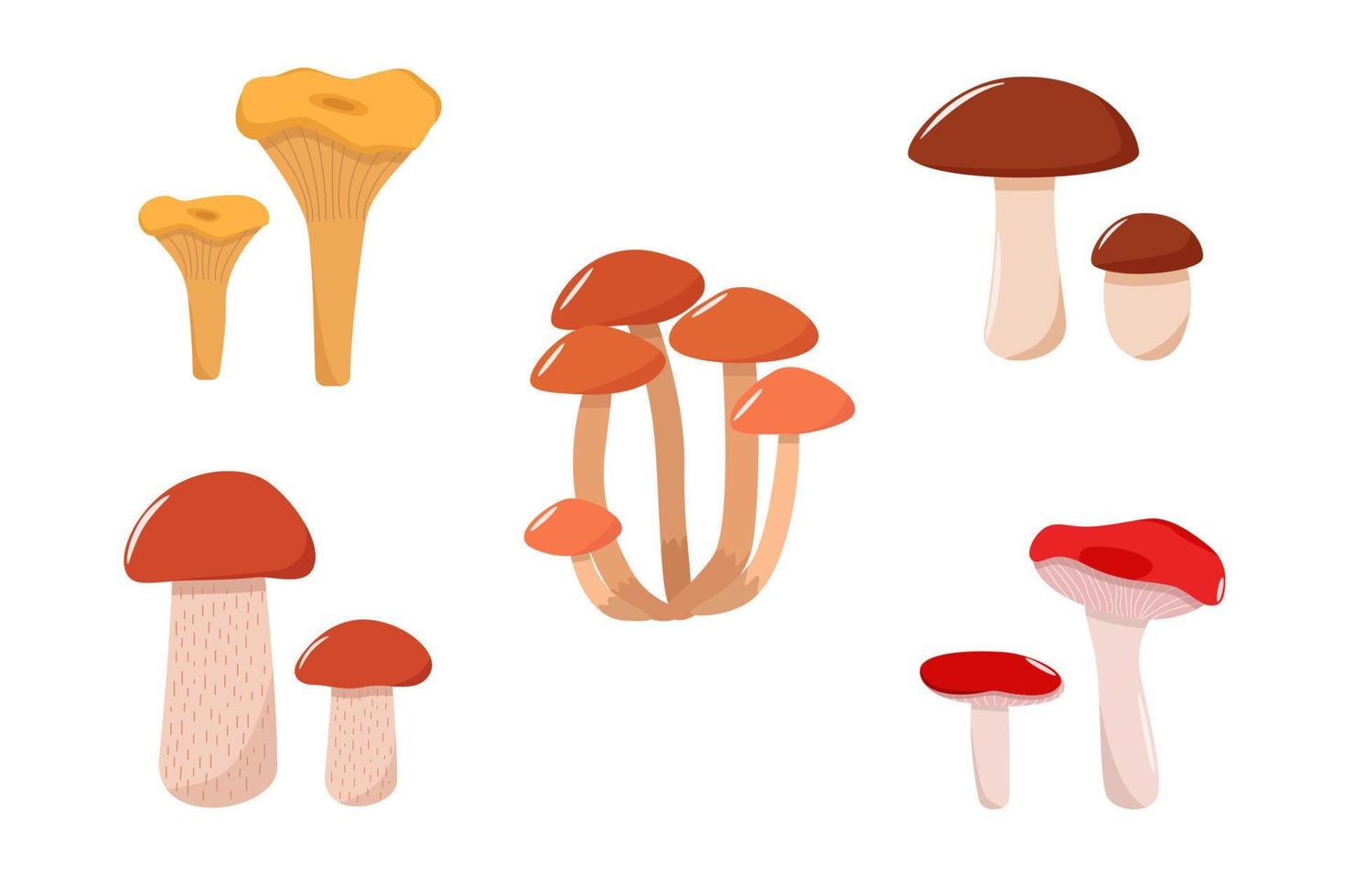 conjunto de vetor de ícones de cogumelos. ilustração de boletos, chanterelles, cogumelos de mel, cogumelo de álamo e russula