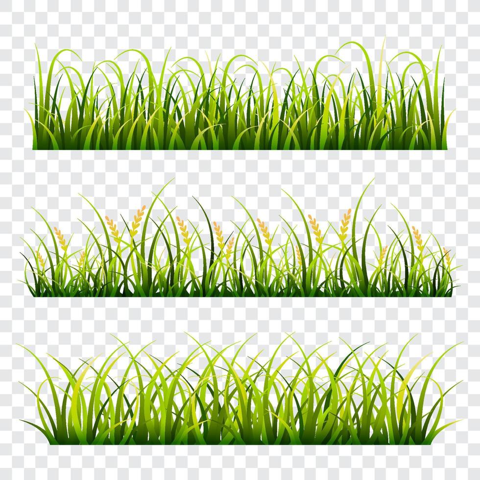 conjunto de grama verde vetor