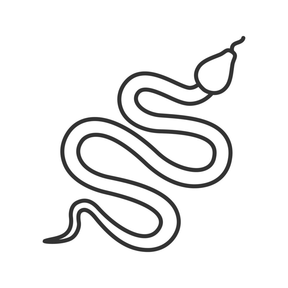 ícone linear de cobra. serpente. ilustração de linha fina. símbolo de contorno. desenho de contorno isolado de vetor