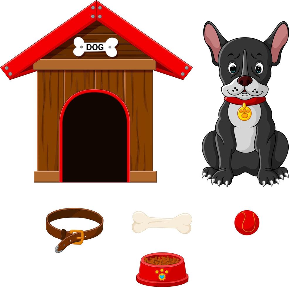 conjunto de acessórios para cães vetor